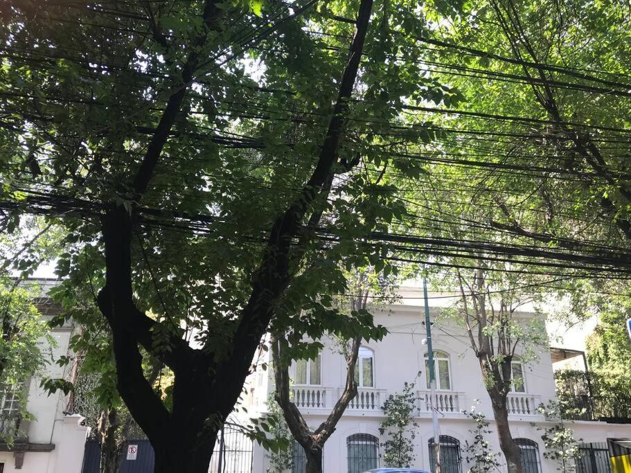Excellent Location Renovated Apt. Roma/Condesa 1 Apartman Mexikóváros Kültér fotó
